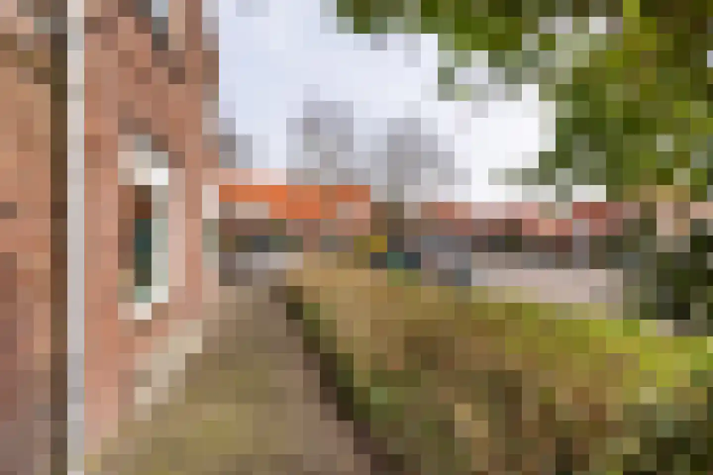 Wilgenstraat 49 Haarlem thumbnail 25