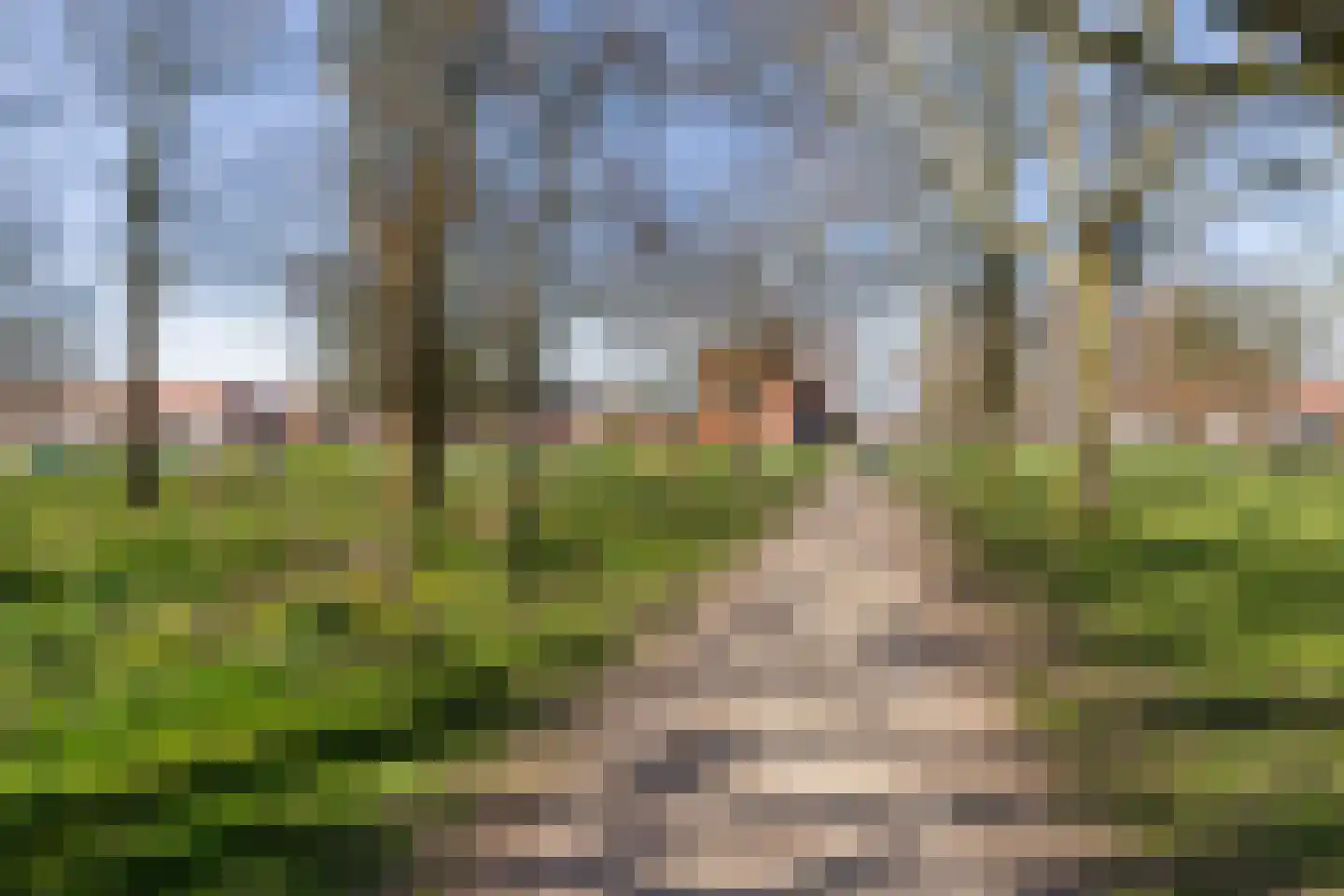 Wilgenstraat 49 Haarlem thumbnail 27