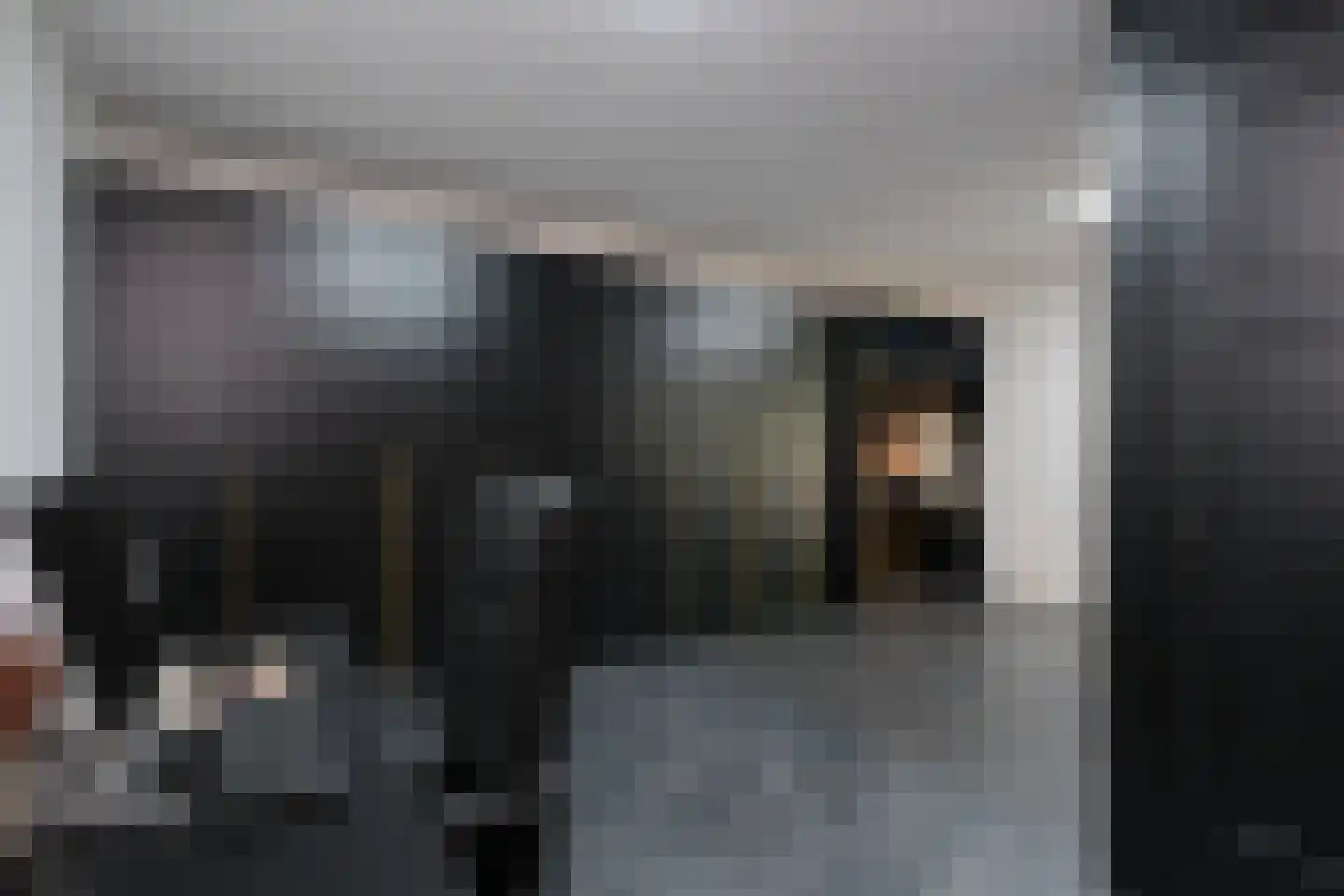 Wilgenstraat 5 Aadorp thumbnail 15