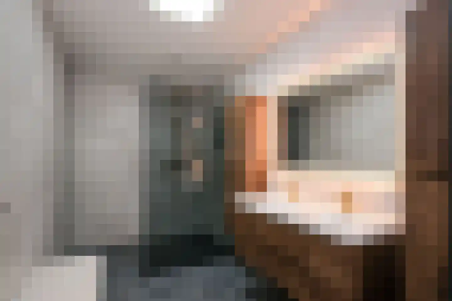 Wilgenstraat 5 Aadorp thumbnail 22