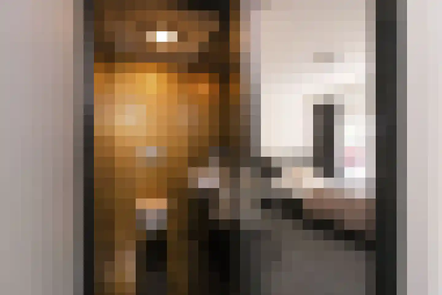 Wilgenstraat 5 Aadorp thumbnail 27