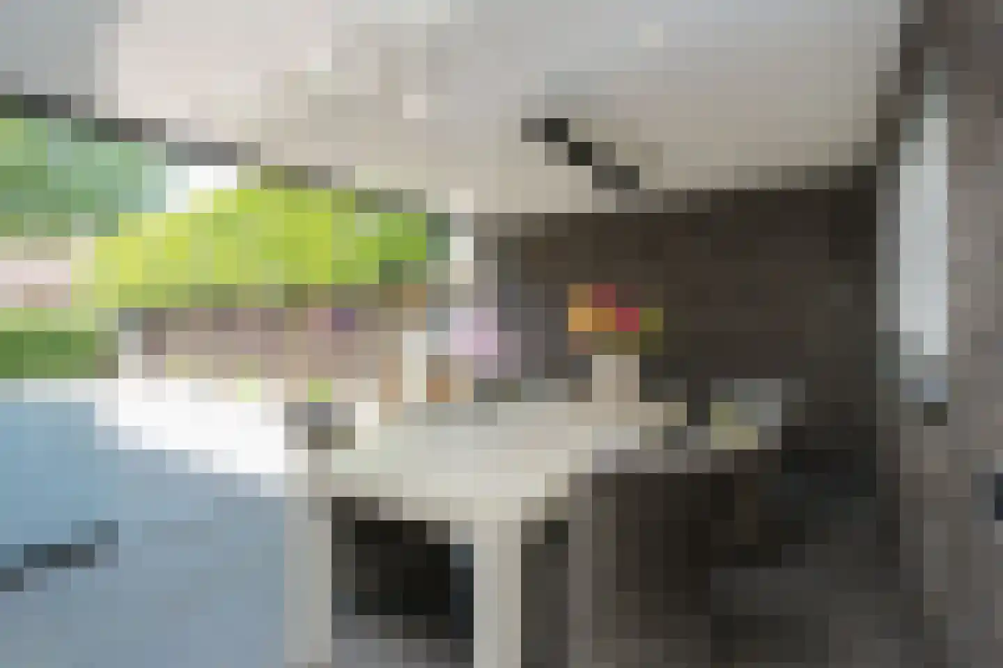 Wilgenstraat 5 Aadorp thumbnail 30
