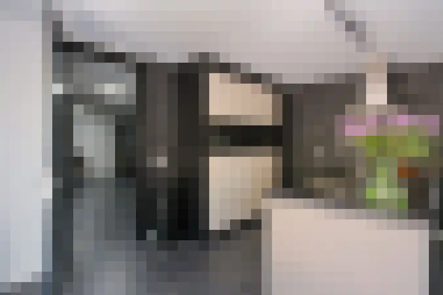 Wilgenstraat 5 Aadorp thumbnail 6