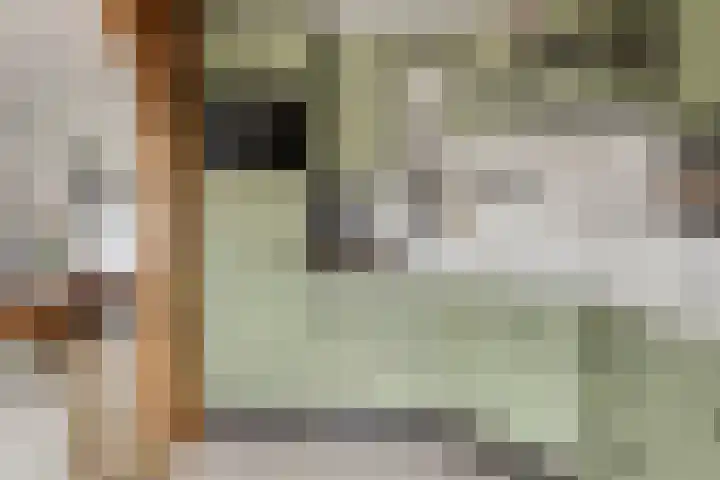 Wilgenstraat 5 Eibergen thumbnail 4