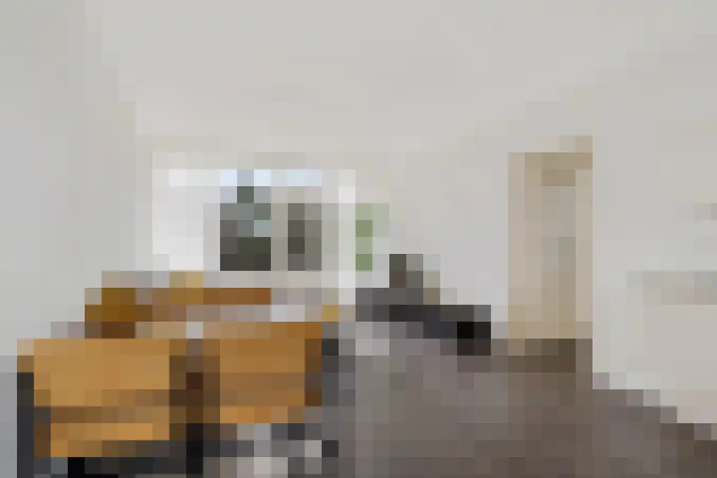 Wilgenstraat 53 Oss thumbnail 10