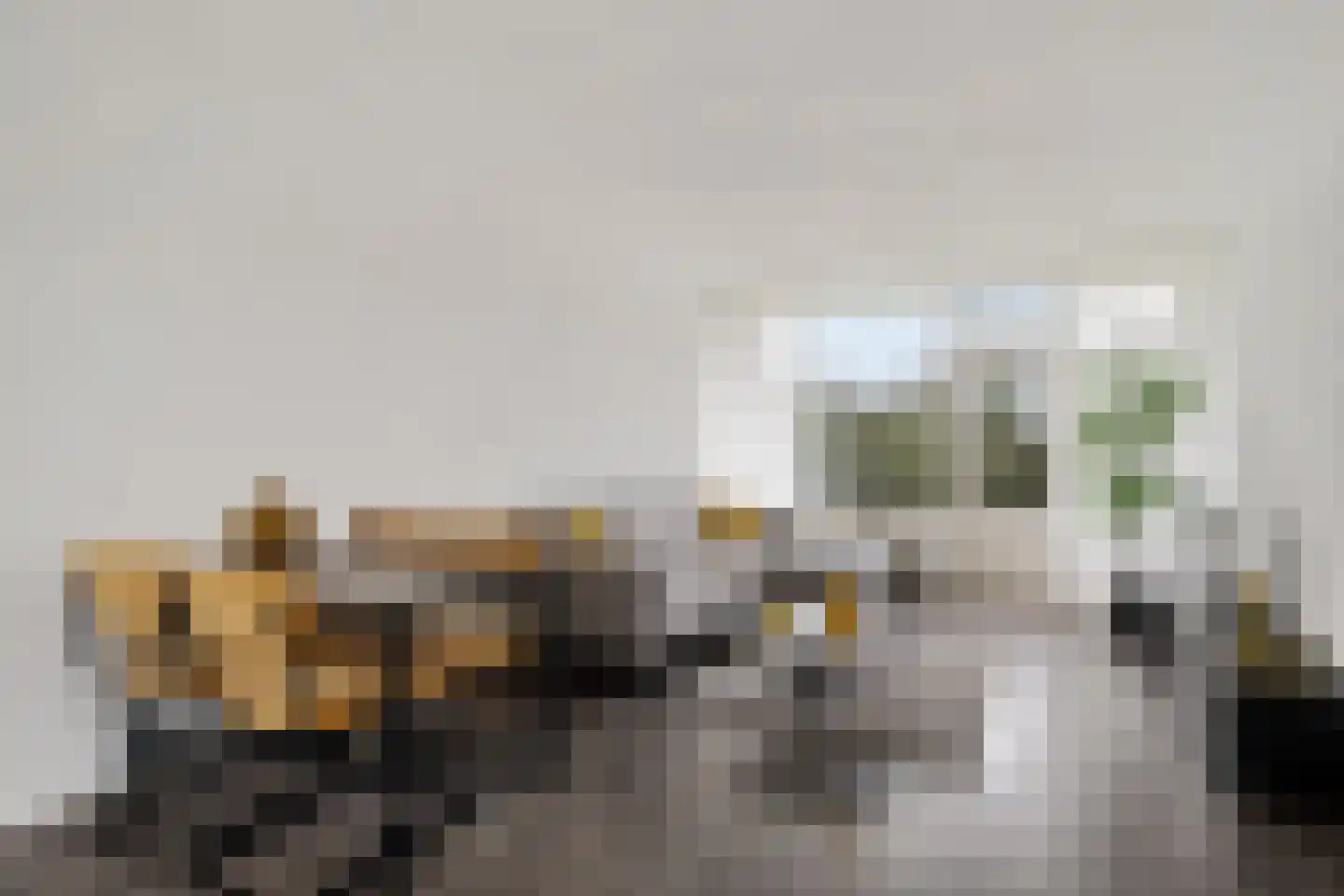 Wilgenstraat 53 Oss thumbnail 11