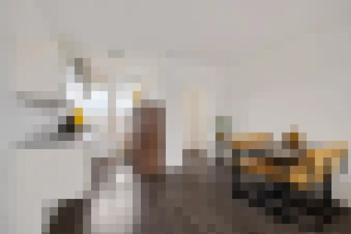 Wilgenstraat 53 Oss thumbnail 15