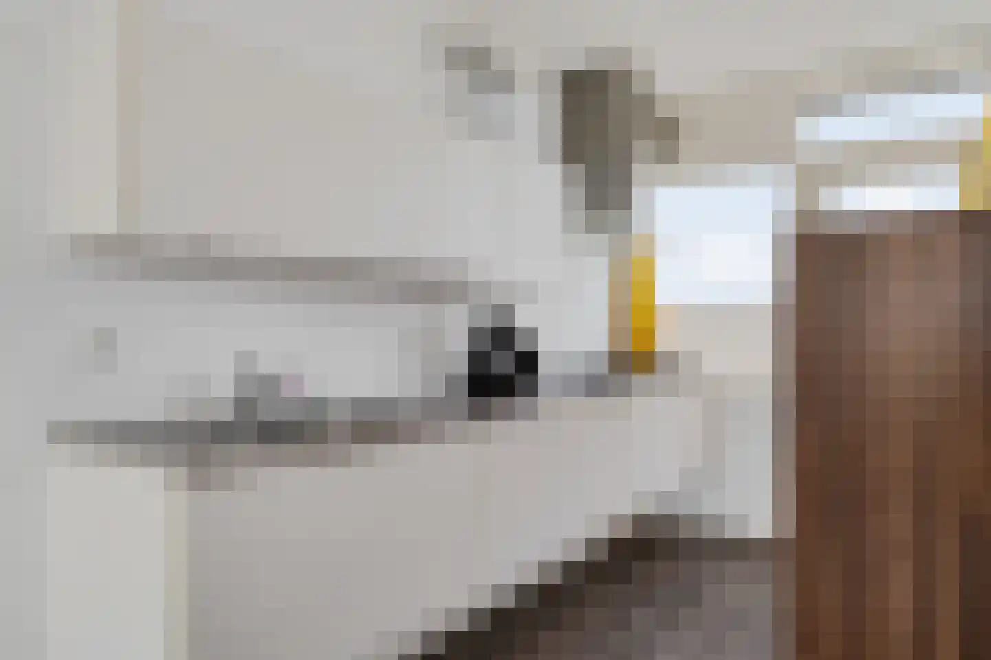 Wilgenstraat 53 Oss thumbnail 16