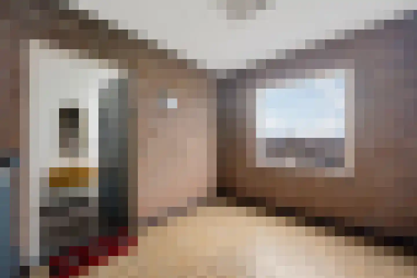 Wilgenstraat 53 Oss thumbnail 6