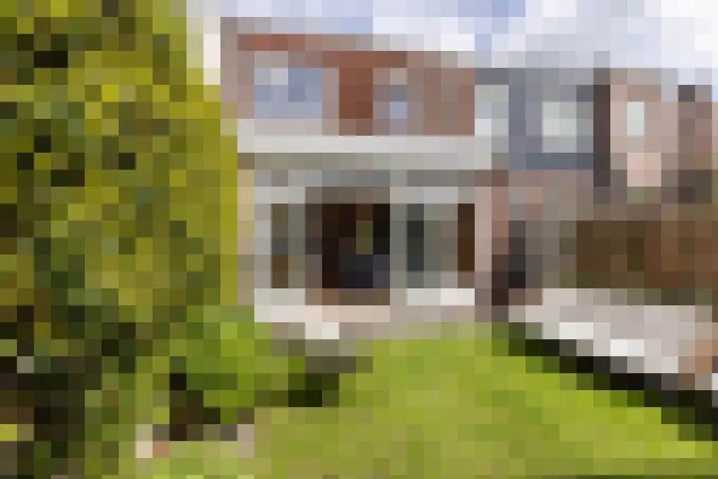 Wilgenstraat 55 Haarlem thumbnail 26