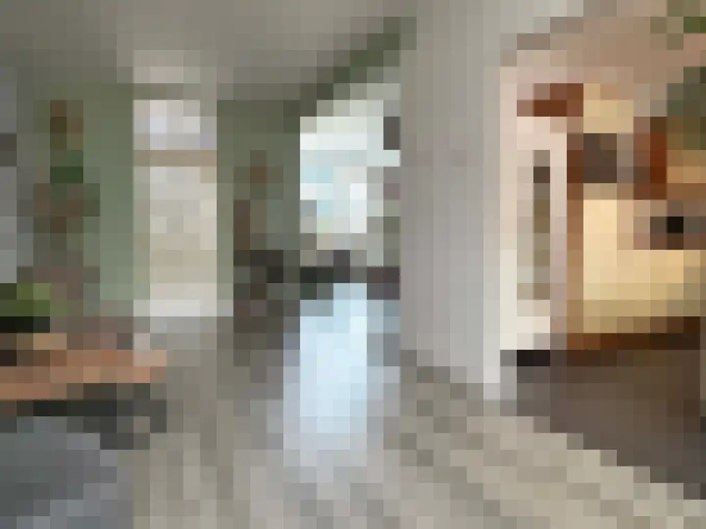 Wilgenstraat 58 Dalen thumbnail 17