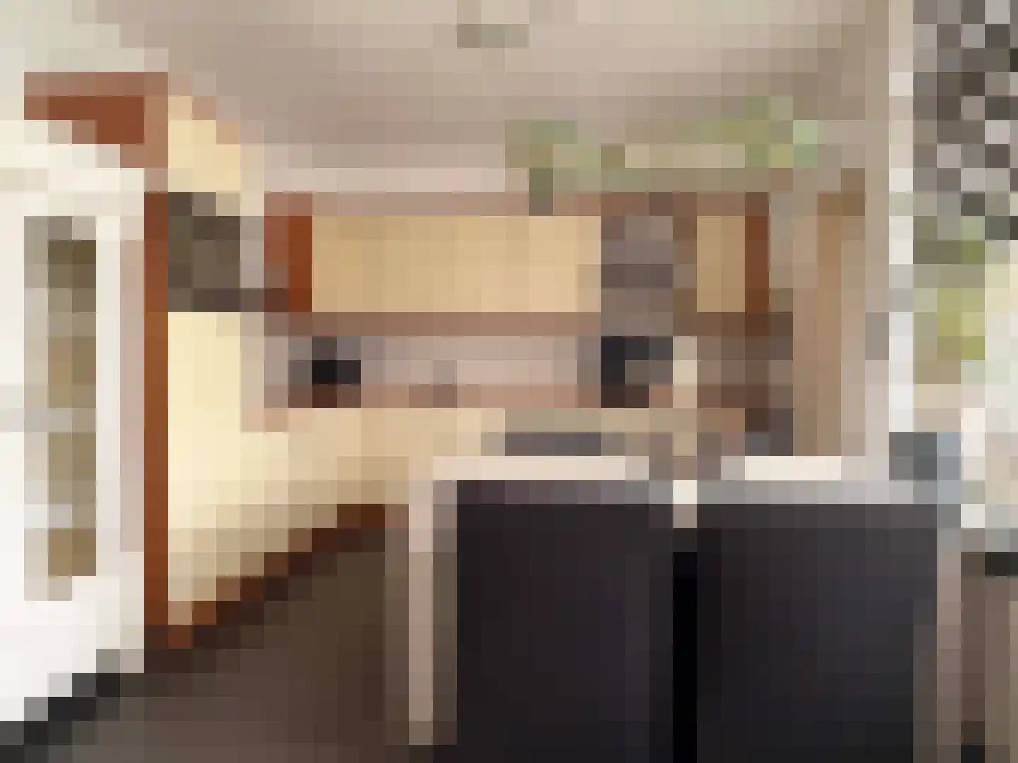 Wilgenstraat 58 Dalen thumbnail 18