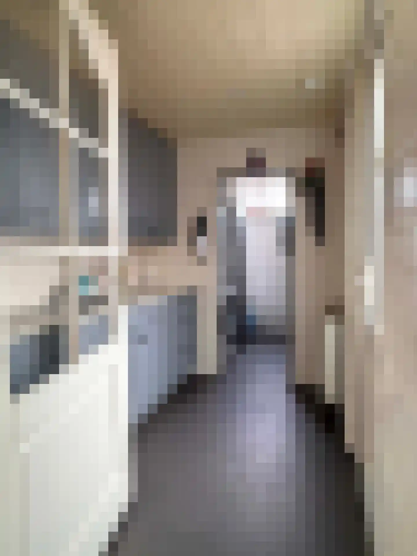 Wilgenstraat 58 Dalen thumbnail 21