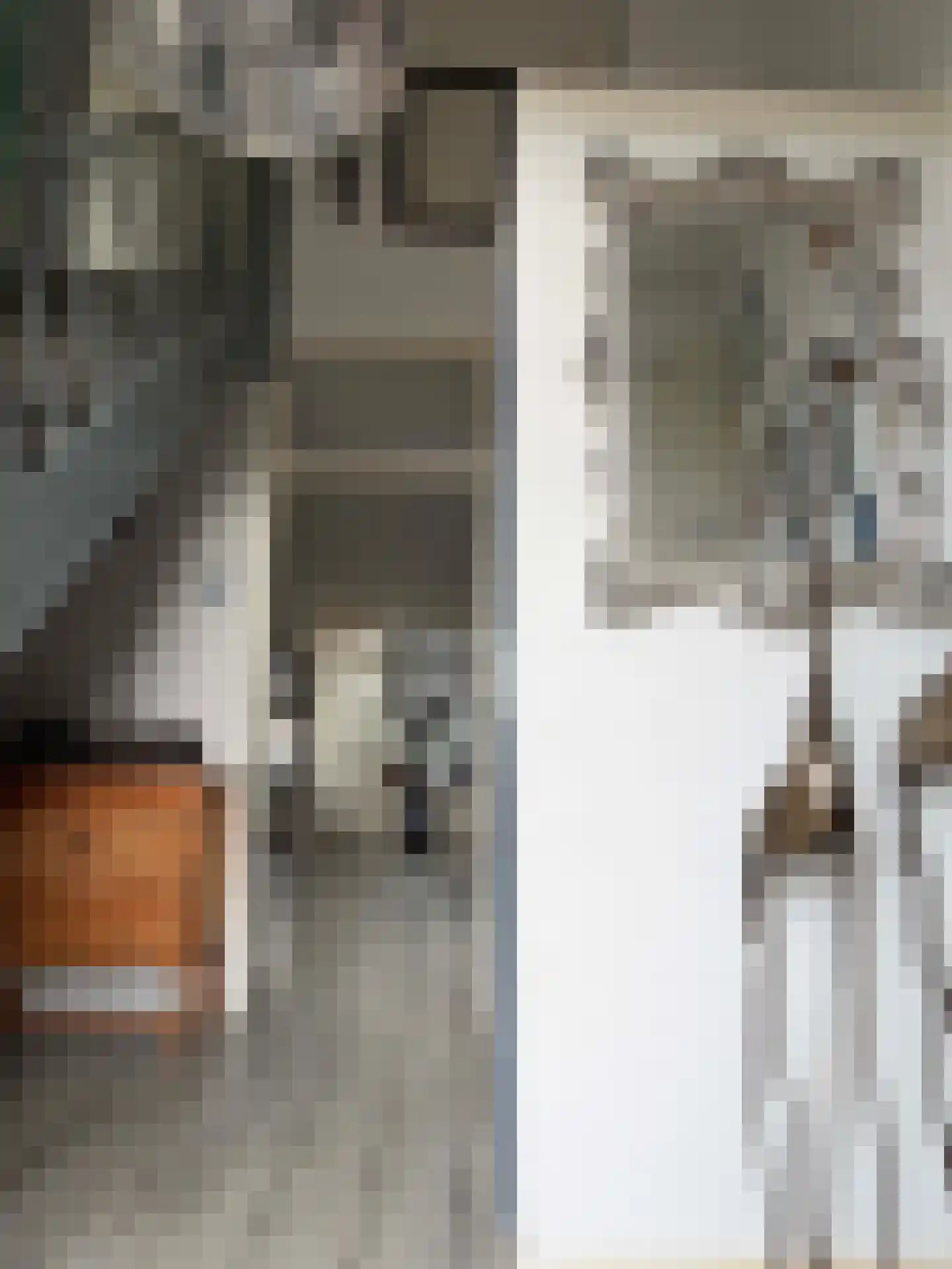 Wilgenstraat 58 Dalen thumbnail 23