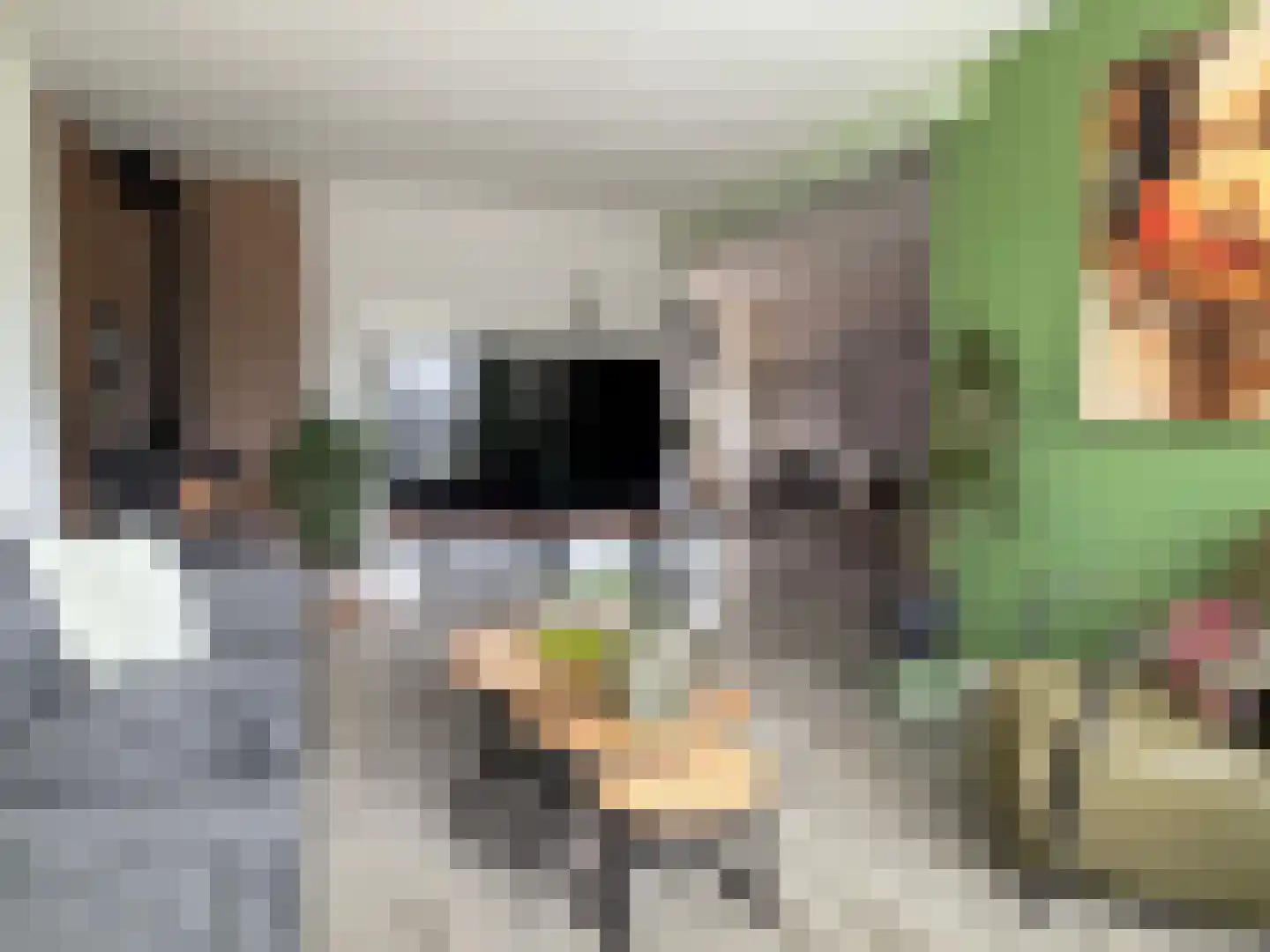Wilgenstraat 58 Dalen thumbnail 5