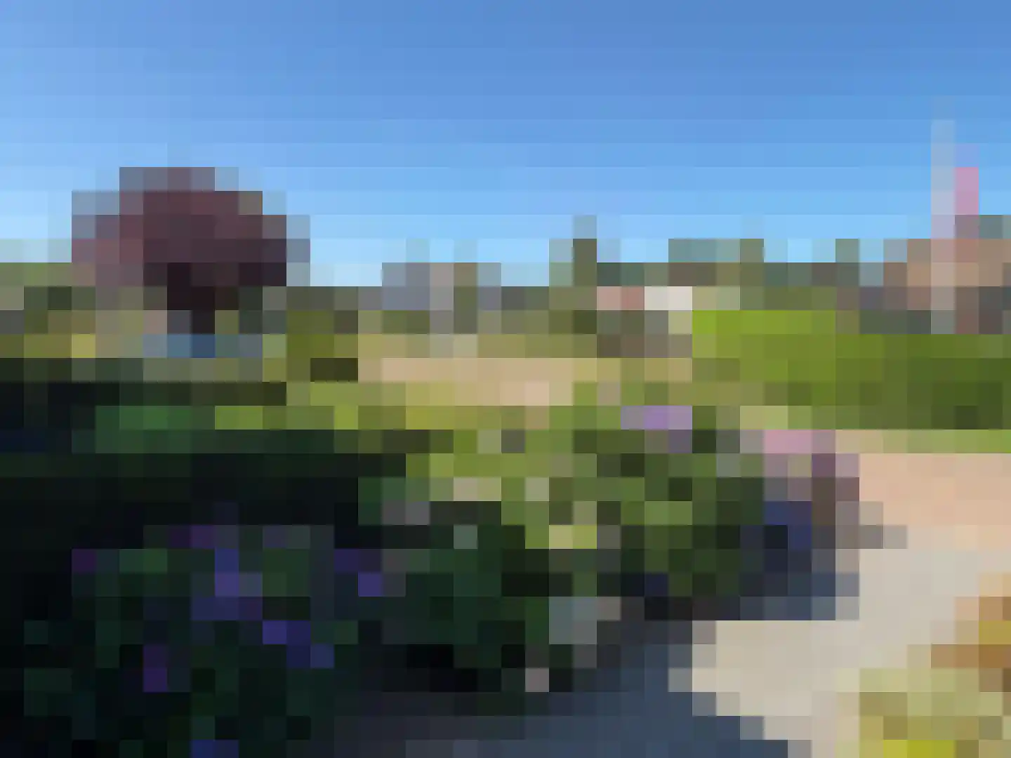 Wilgenstraat 58 Dalen thumbnail 7