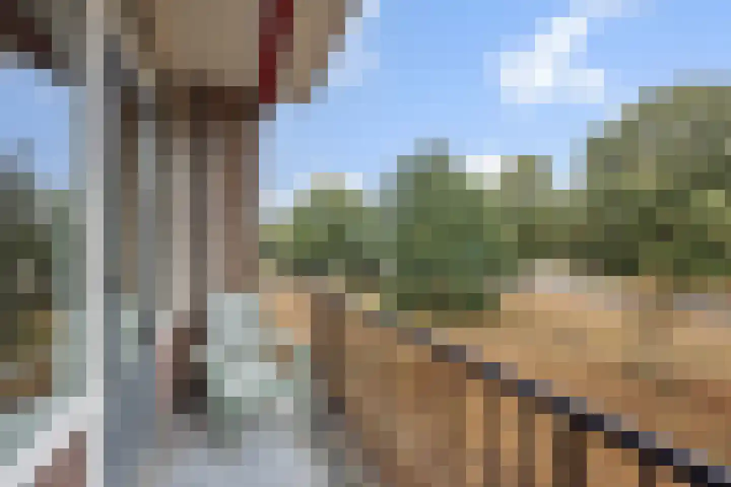 Wilgenstraat 59 Oss thumbnail 11