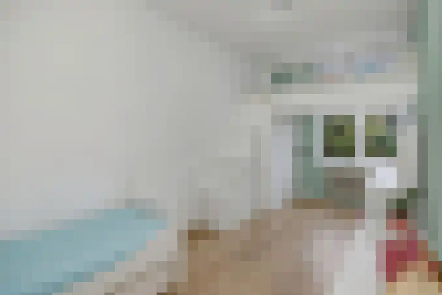 Wilgenstraat 59 Oss thumbnail 20