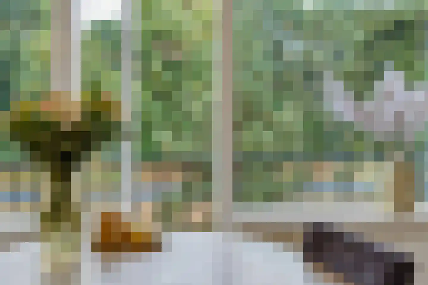 Wilgenstraat 59 Oss thumbnail 9