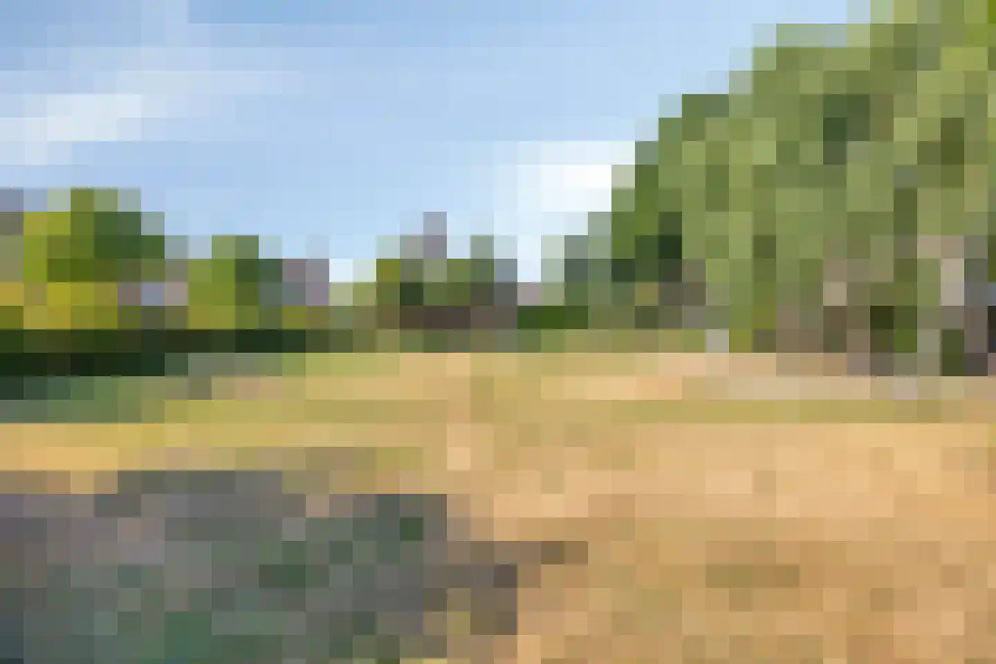 Wilgenstraat 6 Bunschoten-Spakenburg thumbnail 34