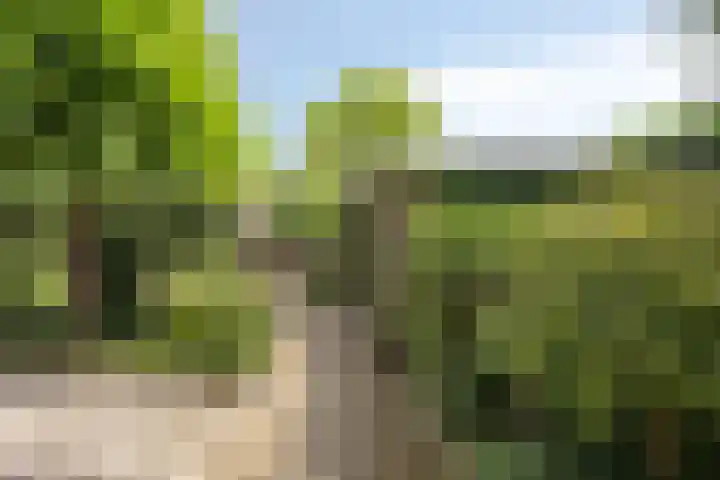 Wilgenstraat 6 Nuenen thumbnail 26
