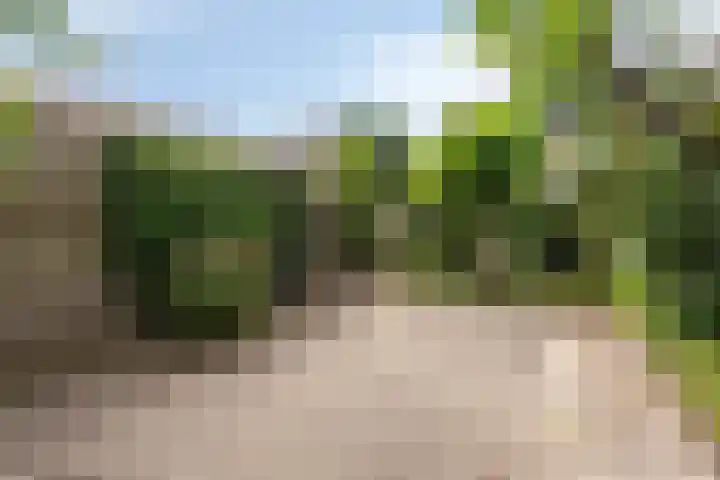 Wilgenstraat 6 Nuenen thumbnail 29