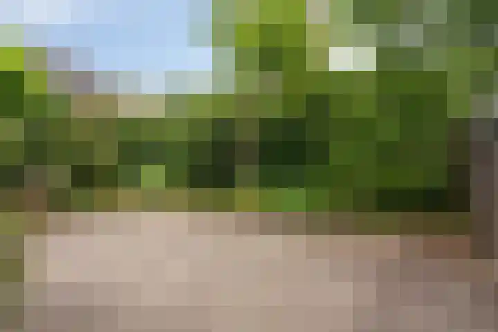 Wilgenstraat 6 Nuenen thumbnail 30