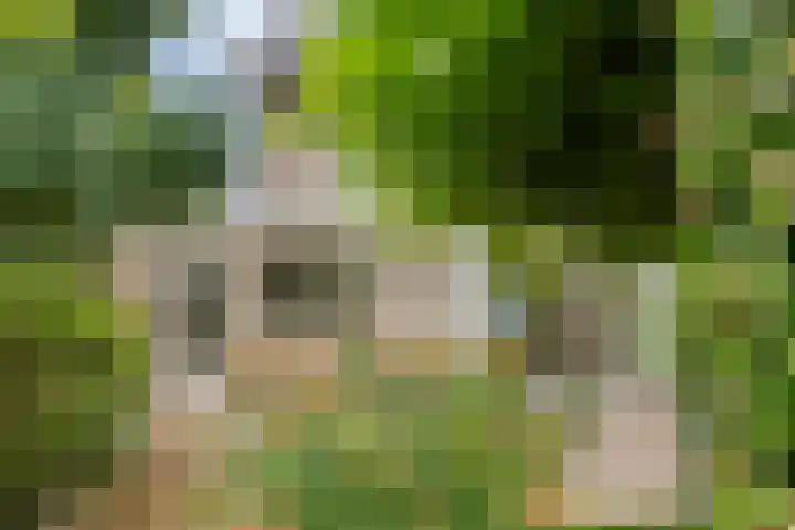 Wilgenstraat 6 Nuenen thumbnail 31