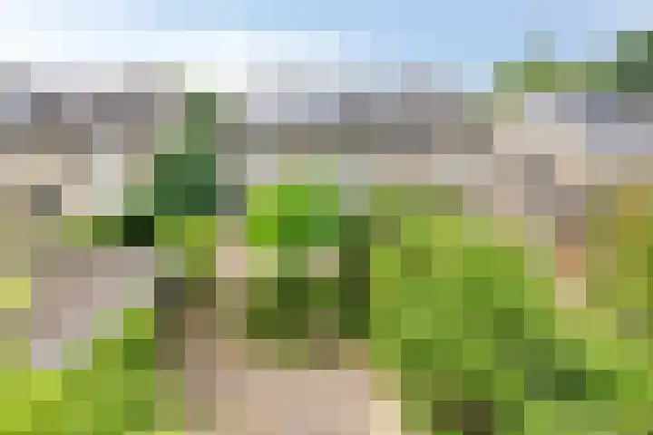 Wilgenstraat 6 Nuenen thumbnail 33