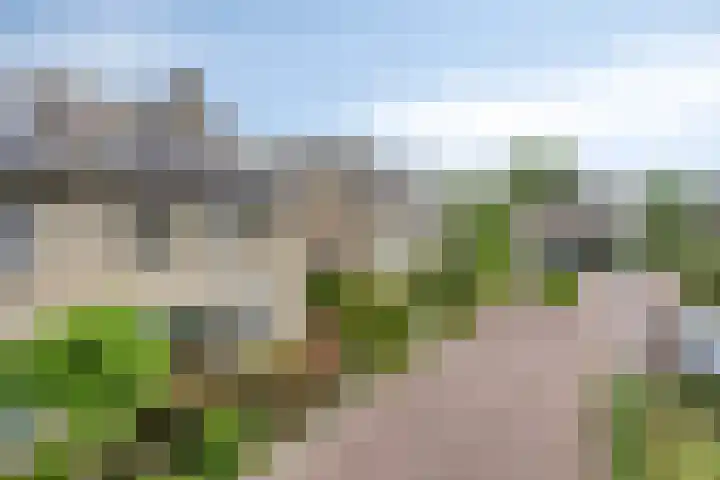 Wilgenstraat 6 Nuenen thumbnail 35
