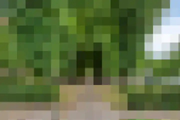 Wilgenstraat 6 Nuenen thumbnail 37