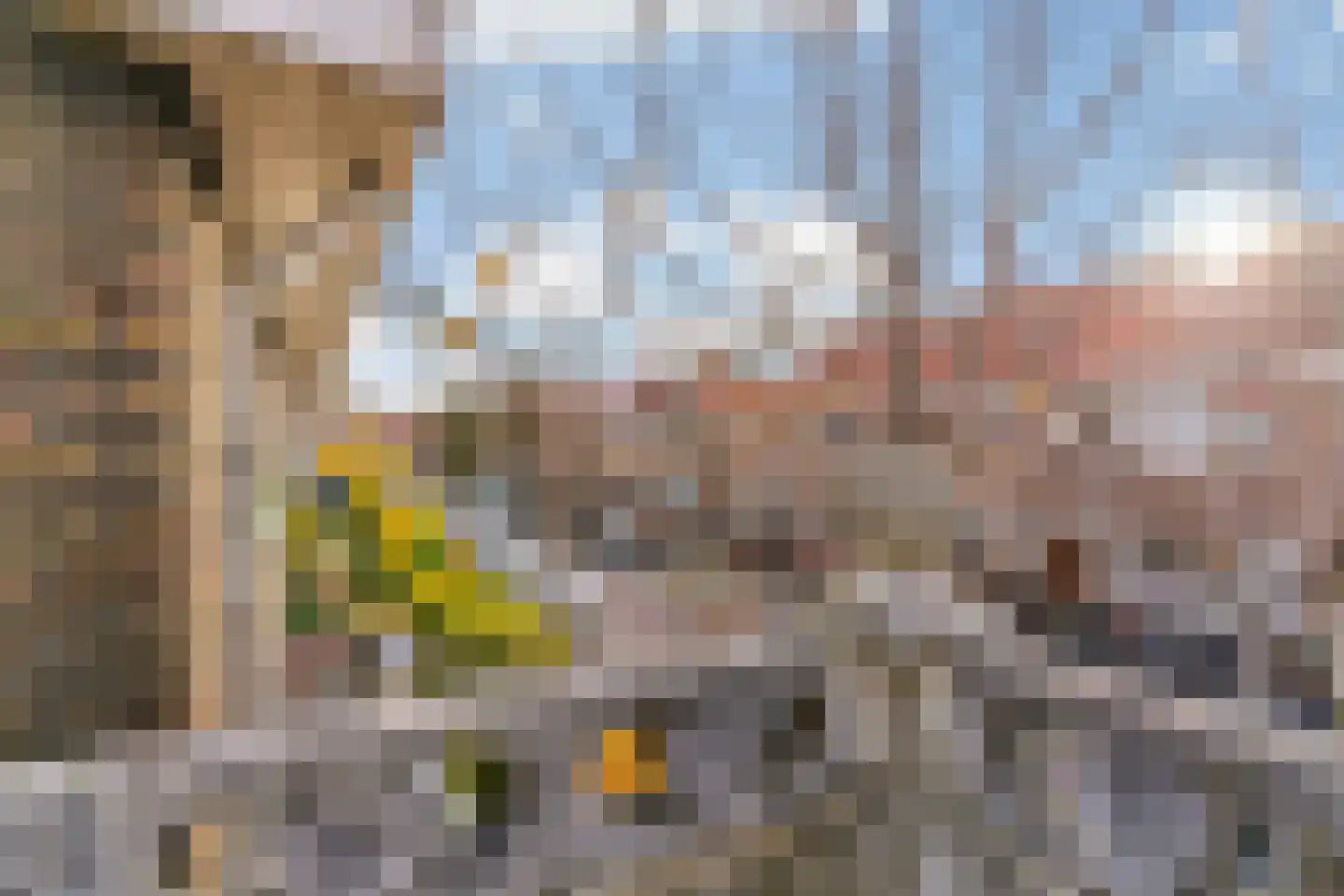 Wilgenstraat 6 Zaandam thumbnail 28