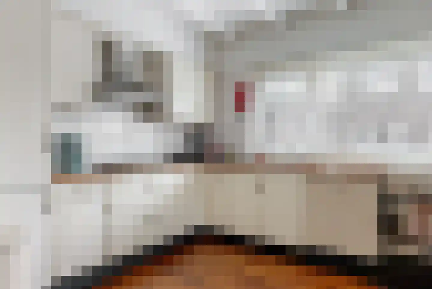 Wilgenstraat 6 Zaandam thumbnail 5