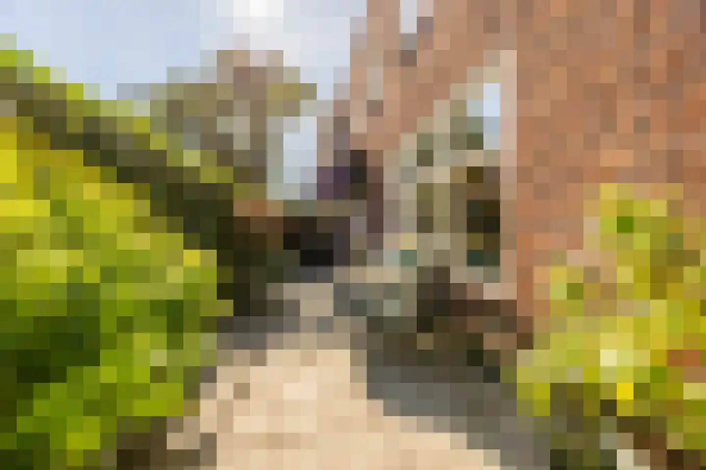 Wilgenstraat 61 Haarlem thumbnail 9