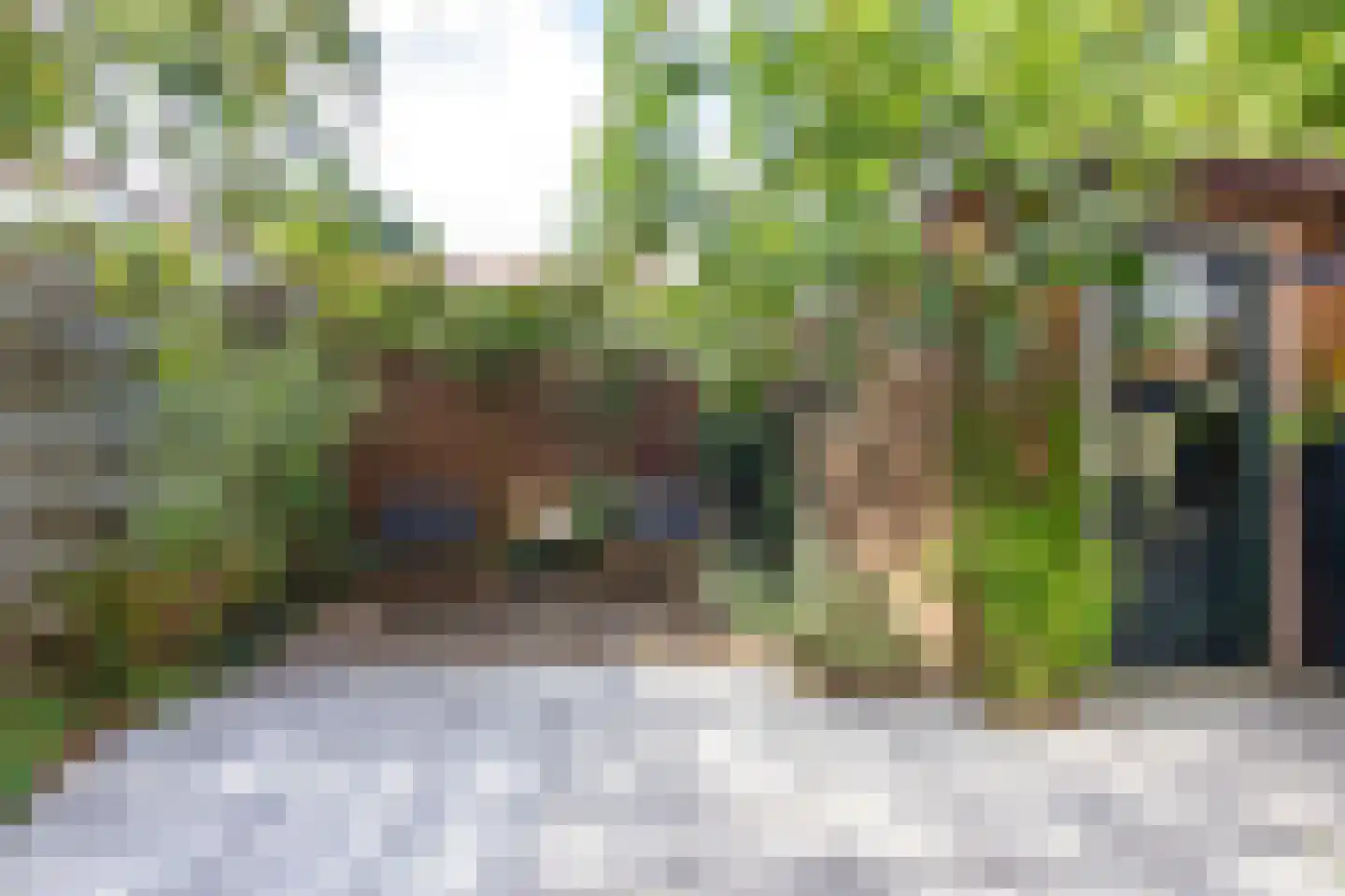Wilgenstraat 67 Haarlem thumbnail 23