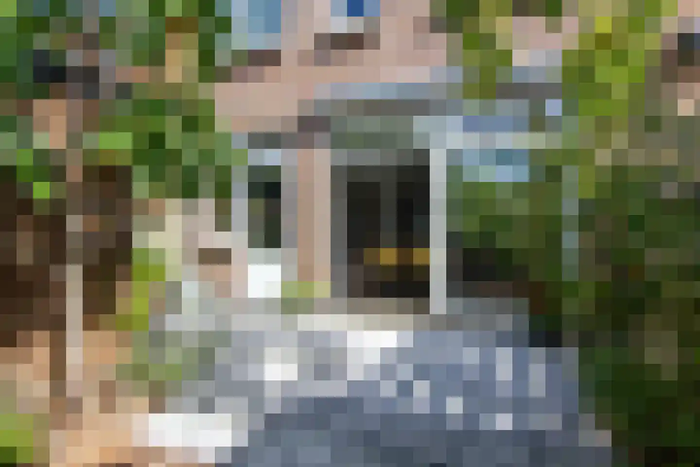 Wilgenstraat 67 Haarlem thumbnail 27
