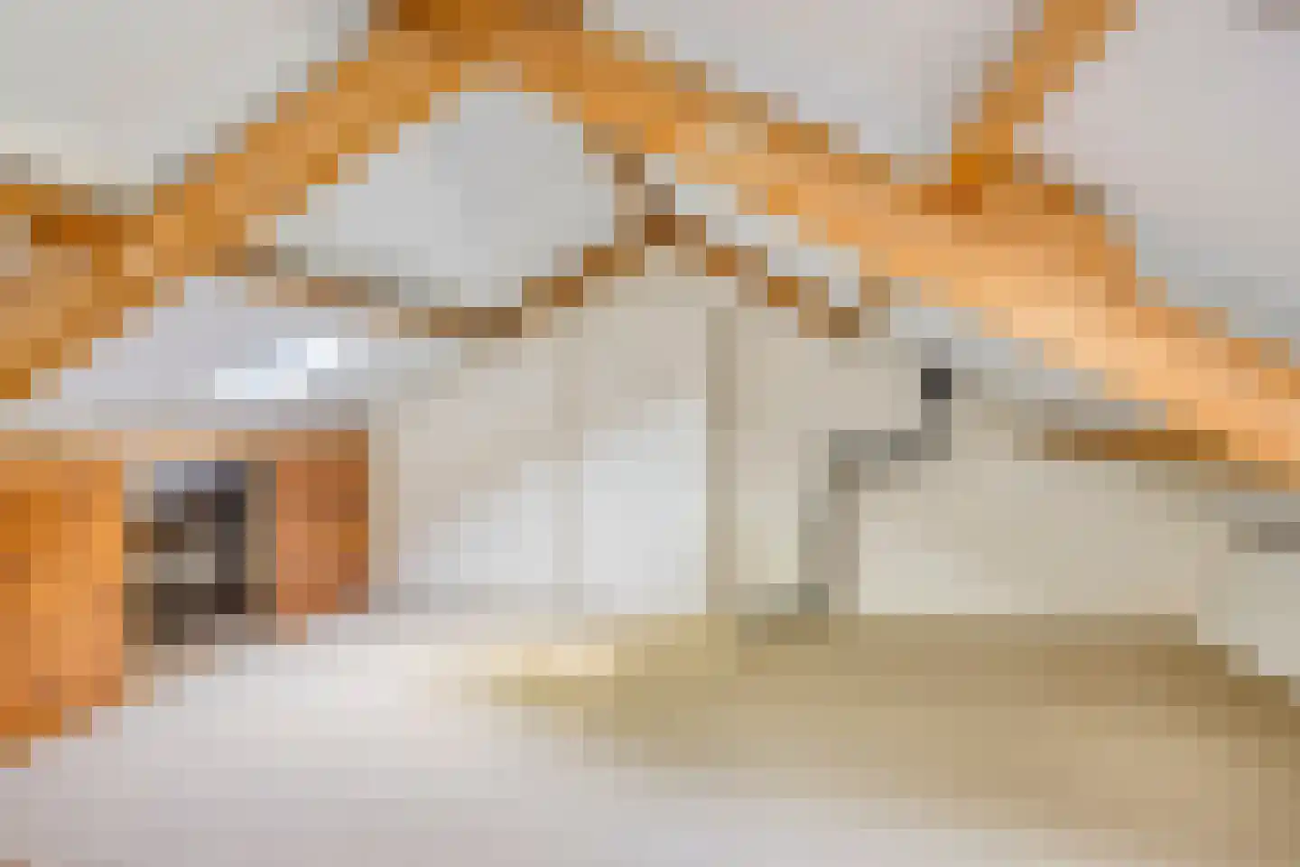 Wilgenstraat 7 Terheijden thumbnail 22