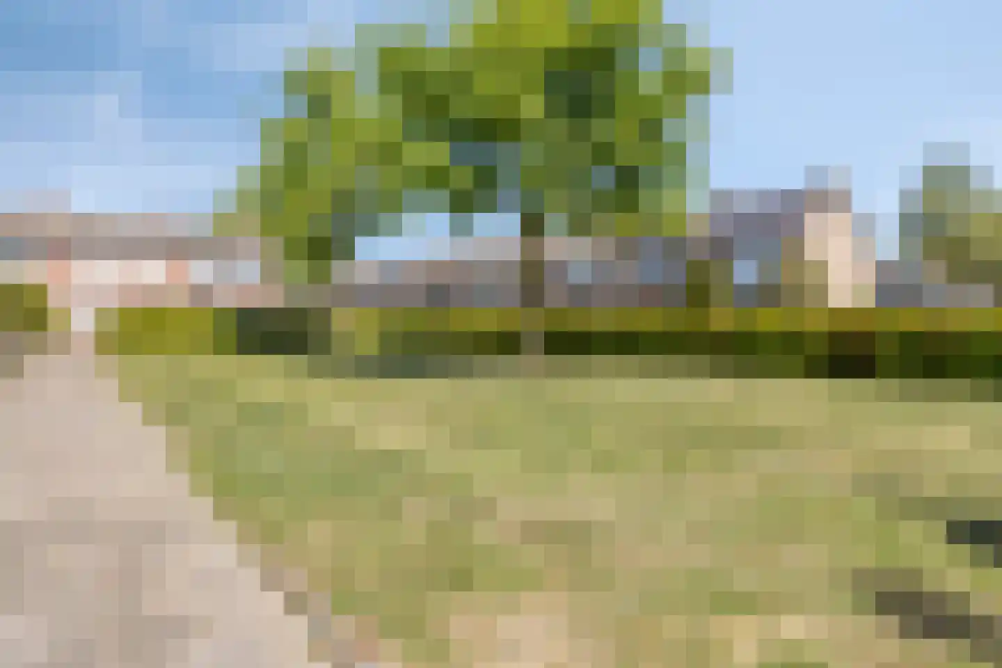 Wilgenstraat 7 Terheijden thumbnail 27