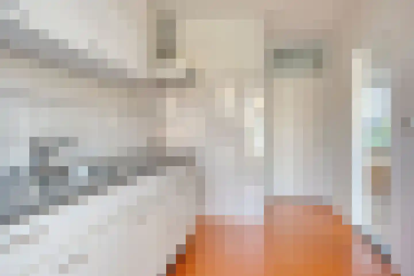 Wilgenstraat 7 Terheijden thumbnail 8