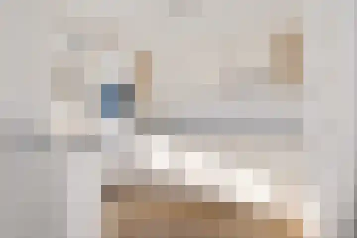 Wilgenstraat 8 Borculo thumbnail 6