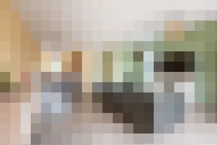 Wilgenstraat 9 Ulft thumbnail 10