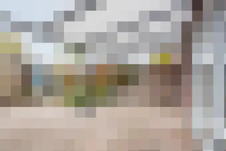 Wilgenstraat 9 Ulft thumbnail 33