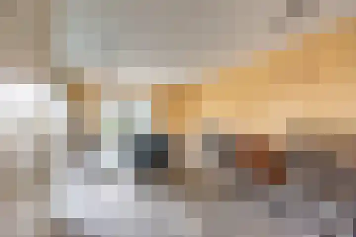 Wilgenstraat 9 Ulft thumbnail 9