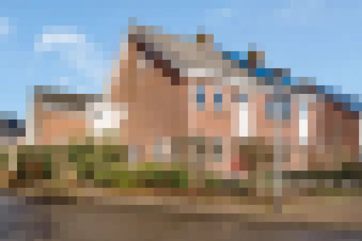 Wilgenstuk 1 Hardenberg