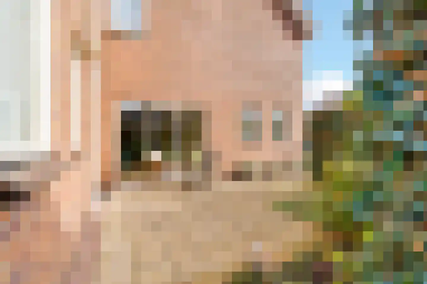 Wilgenstuk 1 Hardenberg thumbnail 22
