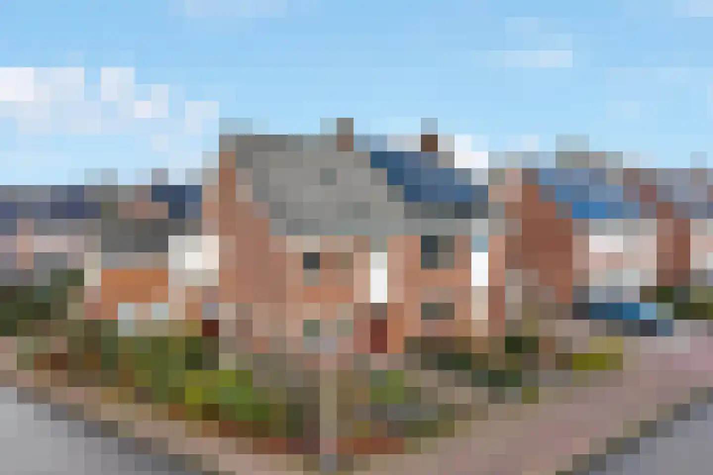 Wilgenstuk 1 Hardenberg thumbnail 4