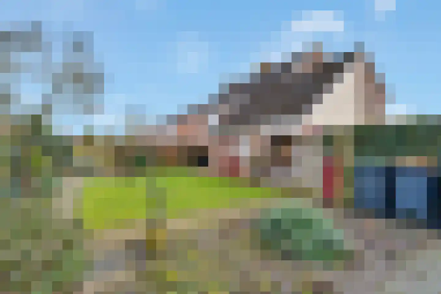 Wilgenstuk 1 Hardenberg thumbnail 44