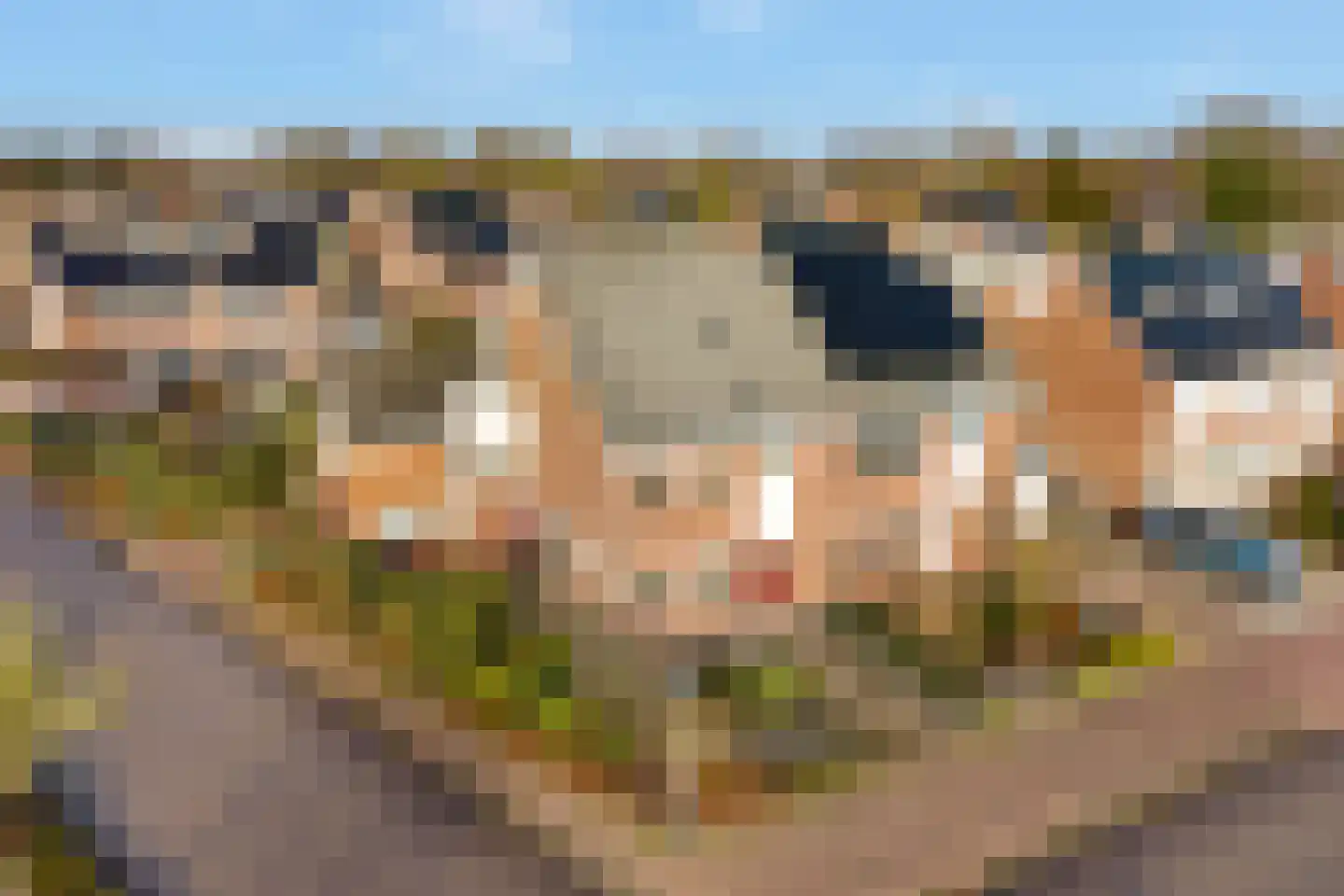 Wilgenstuk 1 Hardenberg thumbnail 5