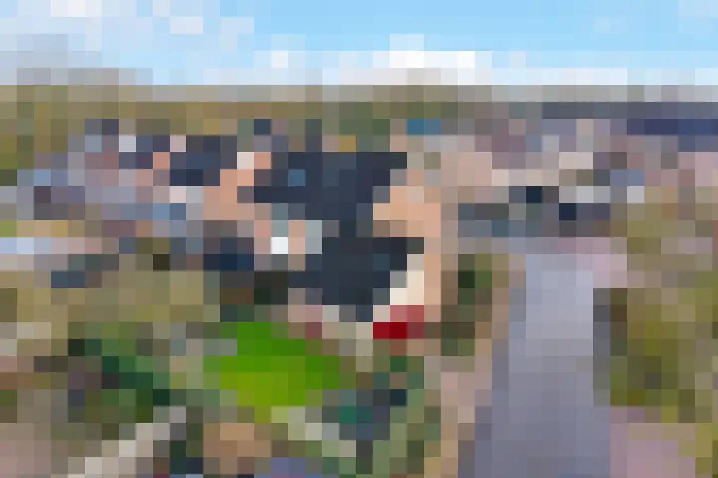 Wilgenstuk 1 Hardenberg thumbnail 6