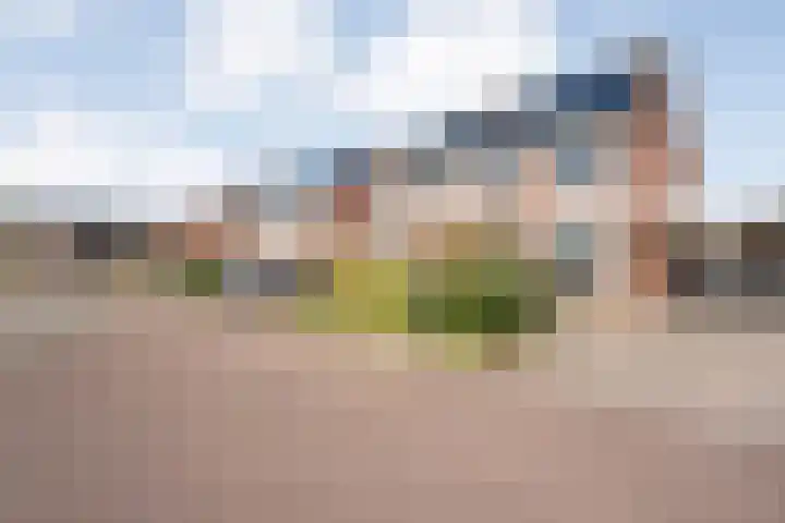 Wilgenstuk 11 Hardenberg thumbnail 10